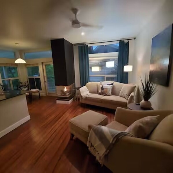 TV, fireplace