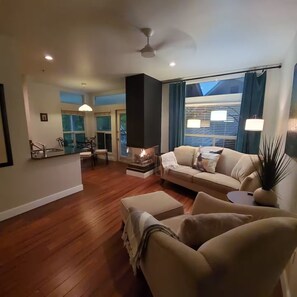 TV, fireplace