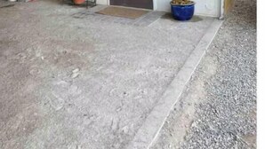 Un garaje con una puerta cerrada, un estante metálico con plantas en macetas y un cubo azul con objetos en el suelo.