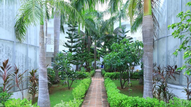 A pathway flanked by lush greenery and tall palm trees, leading to a building with a modern architectural style. - Anton White Villas Resort (Mahabalipuram)