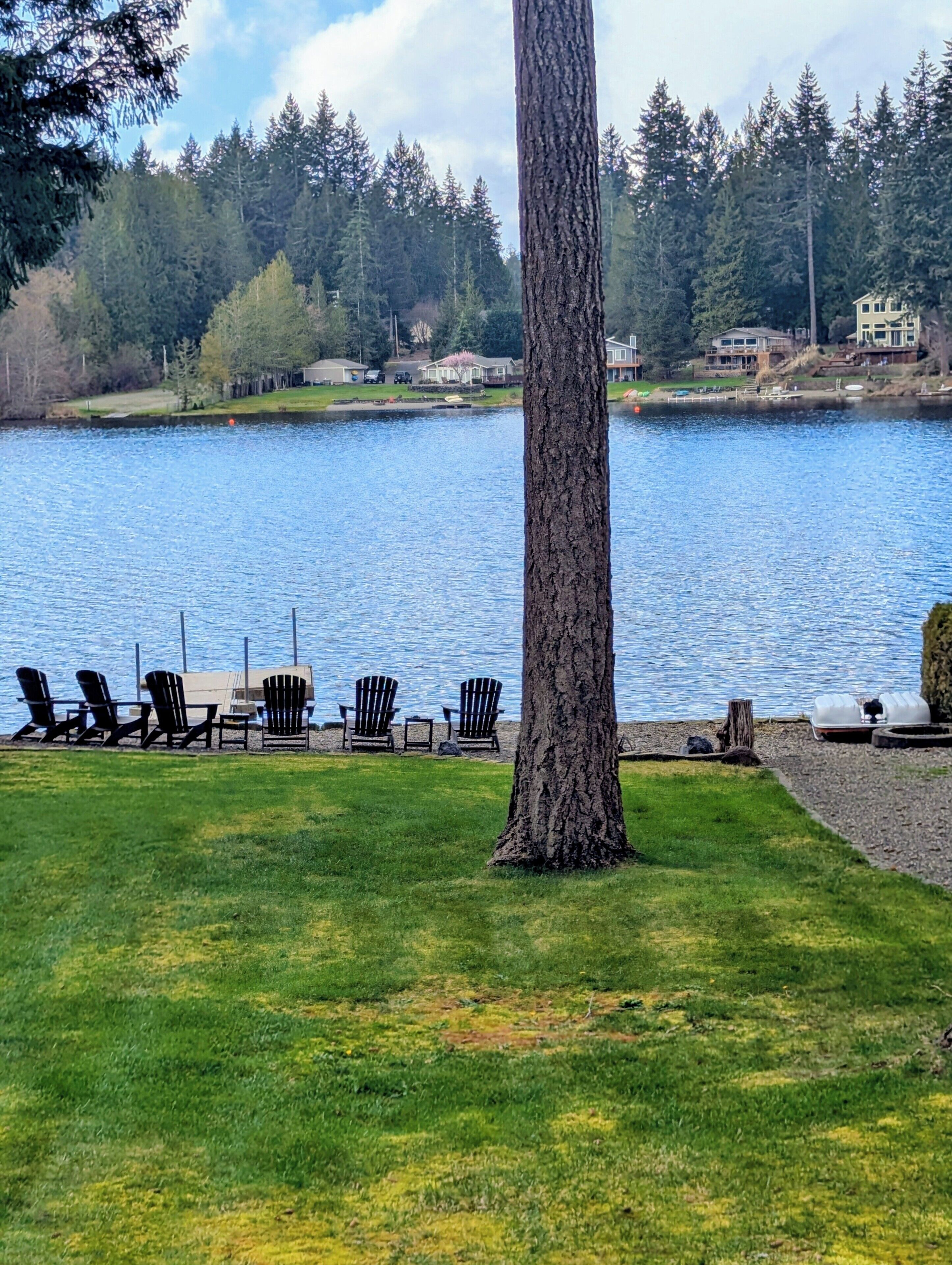 Vista de un lago con un césped, un árbol alto y varias sillas Adirondack.