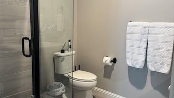 Regadera, secadora de cabello, toallas, papel de baño