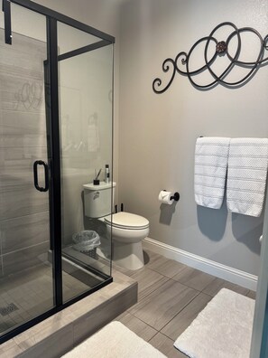 Shower, hair dryer, towels, toilet paper
