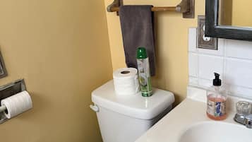 Haartrockner, Handtücher, Seife, Shampoo