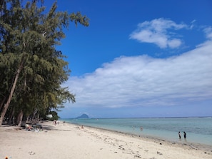 海灘