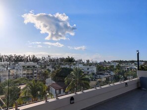 A rooftop with a clear view of a residential area, including houses and palm trees.