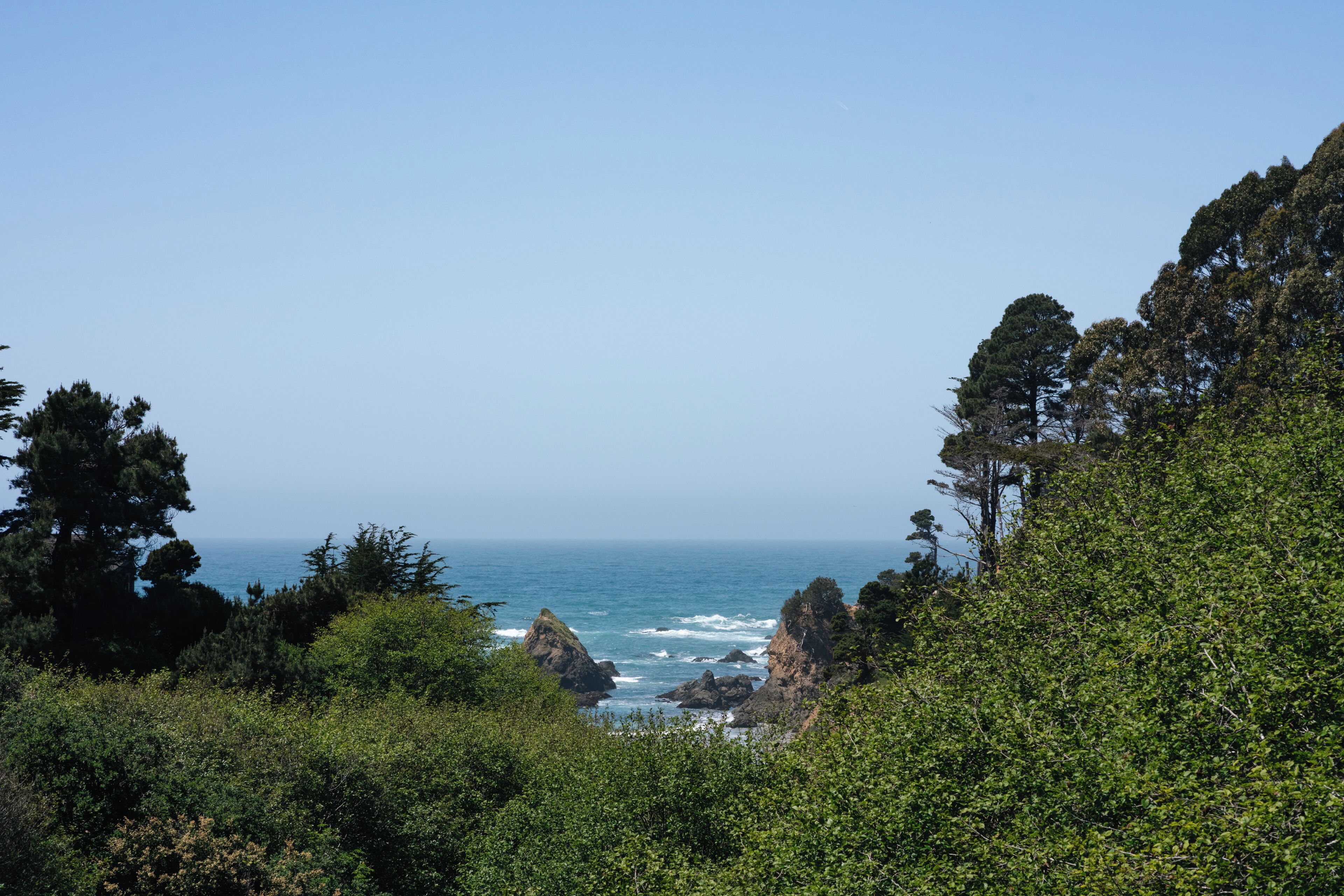 A coastal landscape with dense greenery and rocky outcrops.