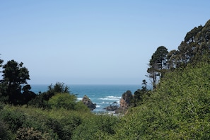 Beach/ocean view