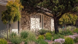 A stone building with a large tree in front, surrounded by landscaped garden beds with various plants and flowers. - Mendocino Cove (Fort Bragg)