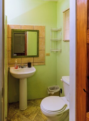 Shower, towels, soap, toilet paper