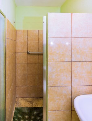 Shower, towels, soap, toilet paper