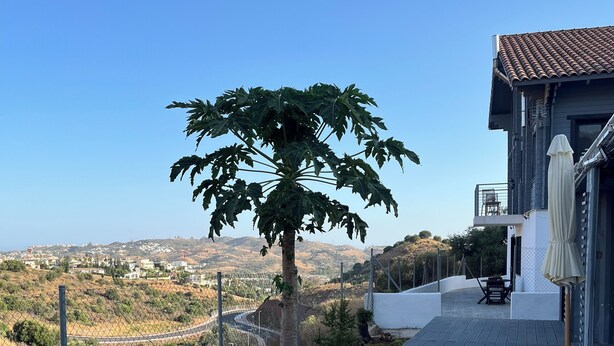 Una banyera d'hidromassatge al pati d'una casa amb vista a un paisatge amb turons.