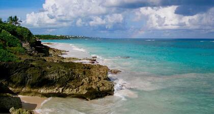 "Poolside", Grape Bay Beach, Paget