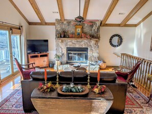 Smart TV, fireplace, books