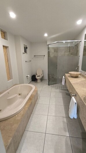 Hair dryer - Space, style, and serenity (Jarretaderas)
