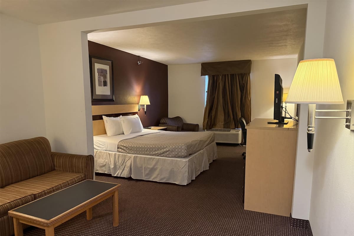 Standard Room, 1 King Bed, Non Smoking, Refrigerator & Microwave (with Sofabed)