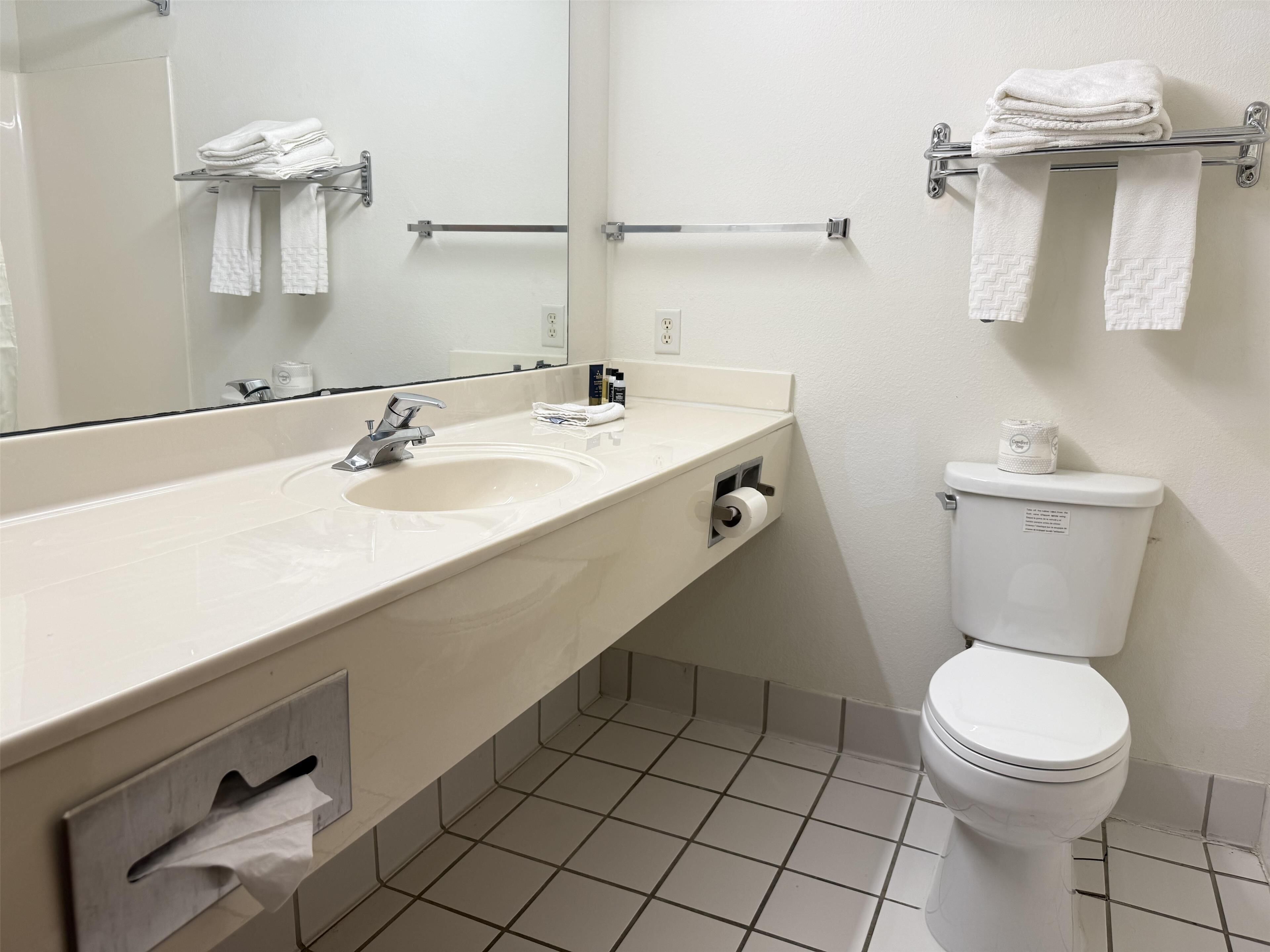 标准房, 1 张特大床, 无烟房, 冰箱和微波炉 (with Sofabed) | 浴室