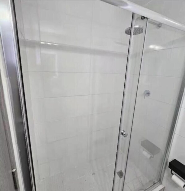 Une cabine de douche fermée par des parois en verre, avec un mur carrelé, une porte dotée d’une poignée et une petite étagère sur laquelle repose un rouleau de papier toilette.