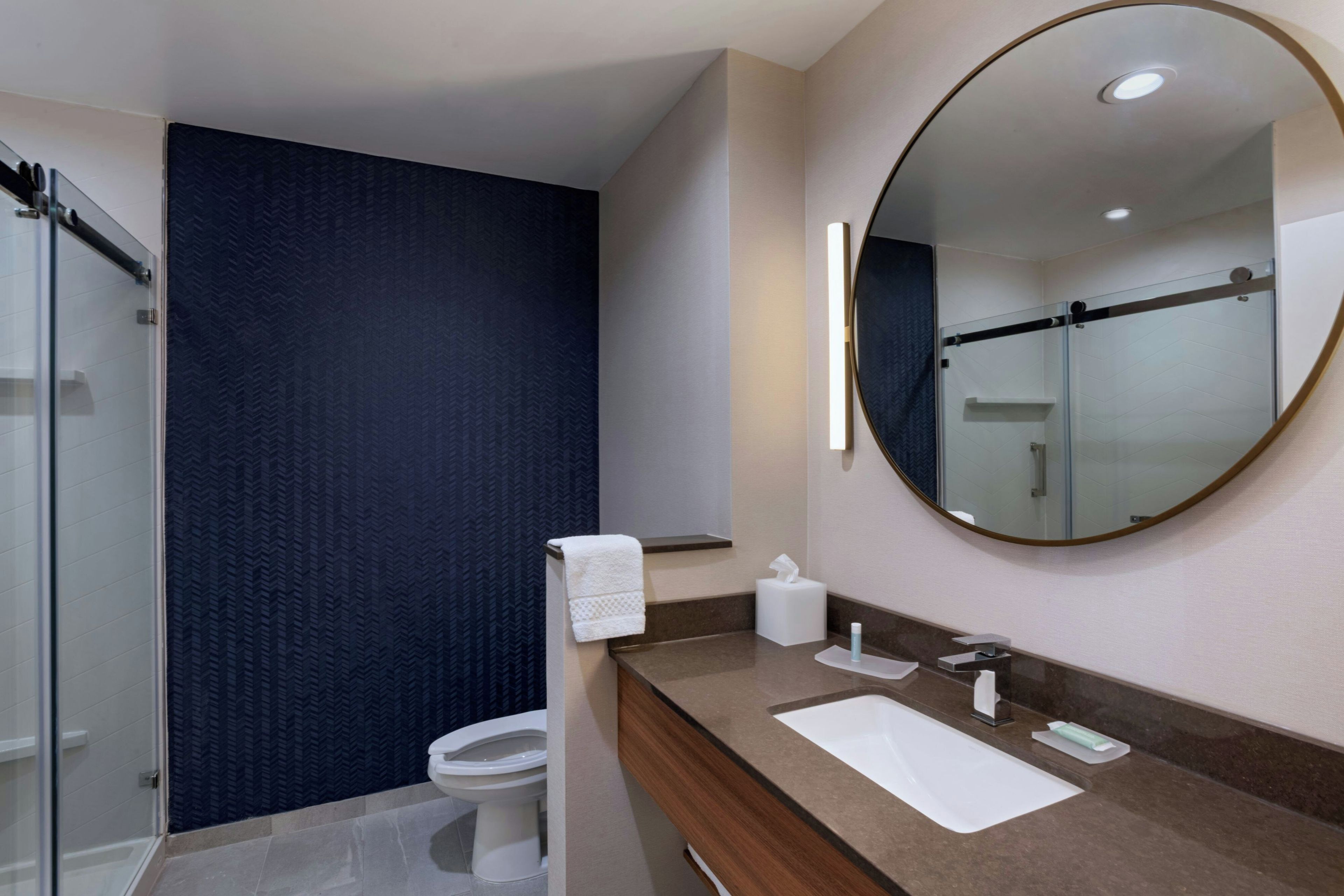 A modern bathroom with a glass shower enclosure, a toilet, a sink with a mirror, and a towel rack.
