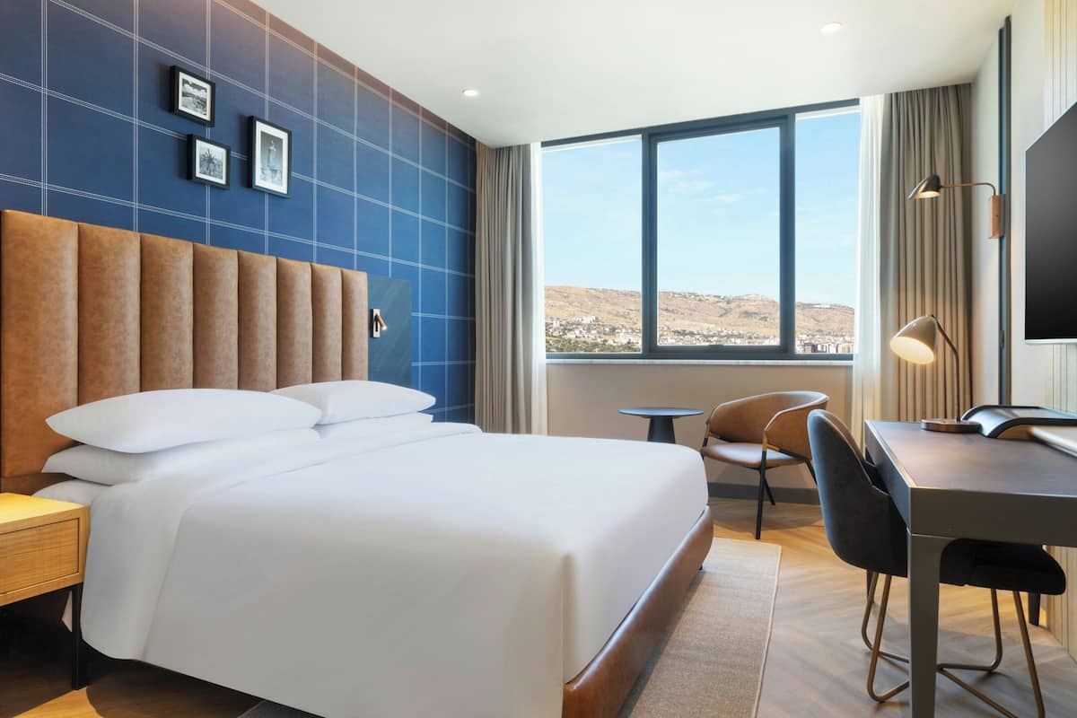 Traditional Room, 1 King Bed, City View | Free WiFi