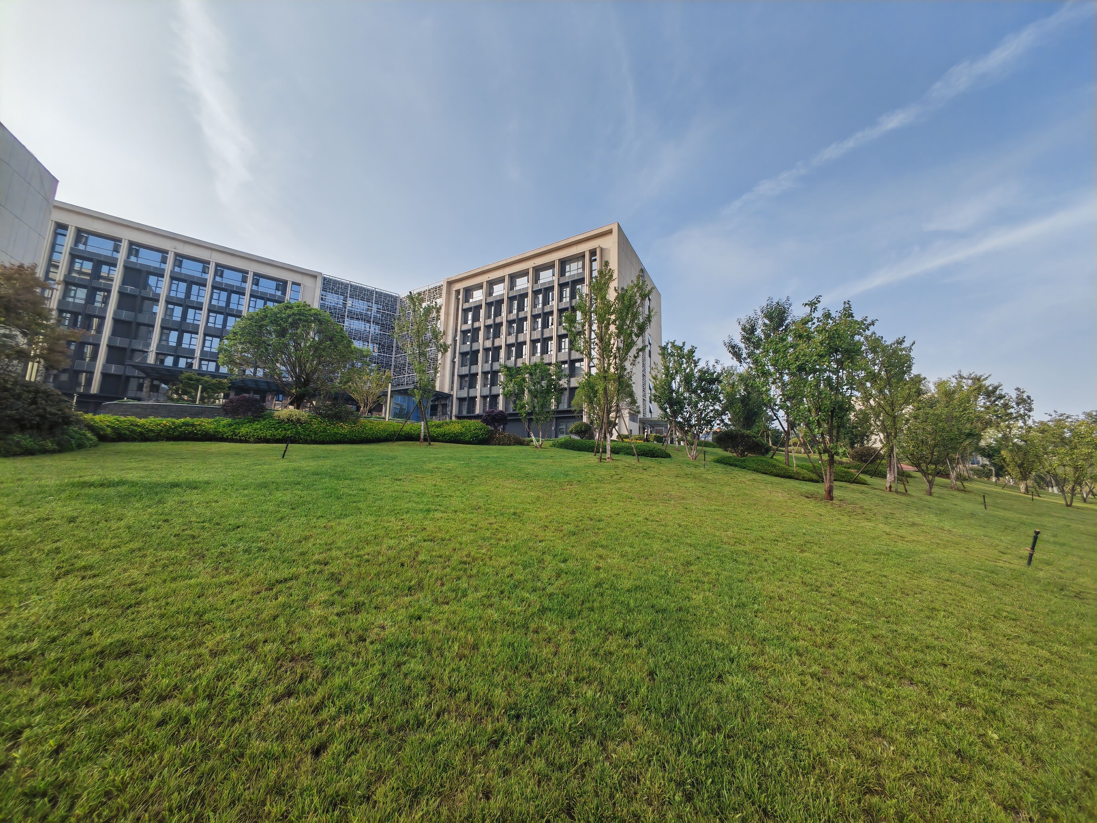 A grassy area with modern buildings in the background.