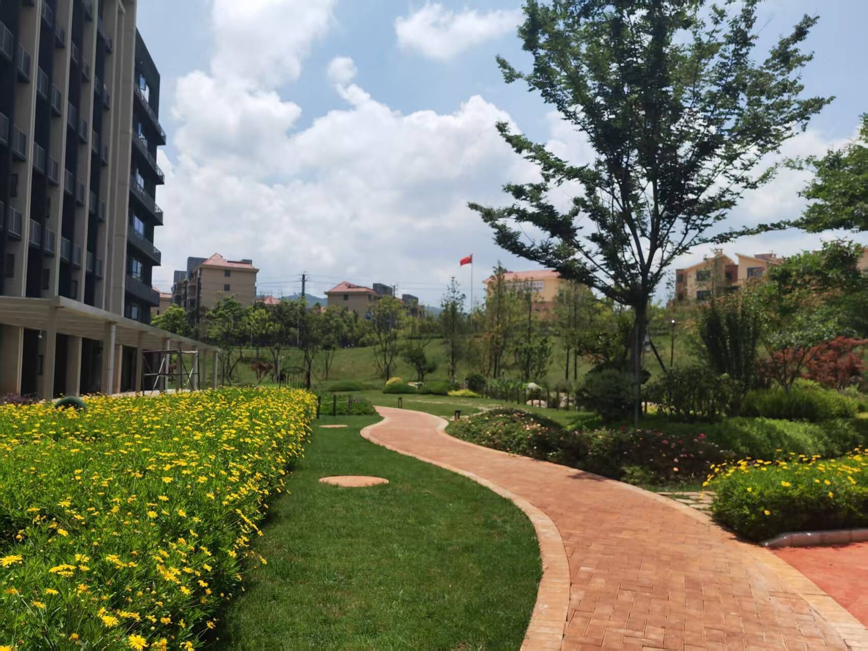 A landscaped pathway with yellow flowers, a brick walkway, and residential buildings in the background.