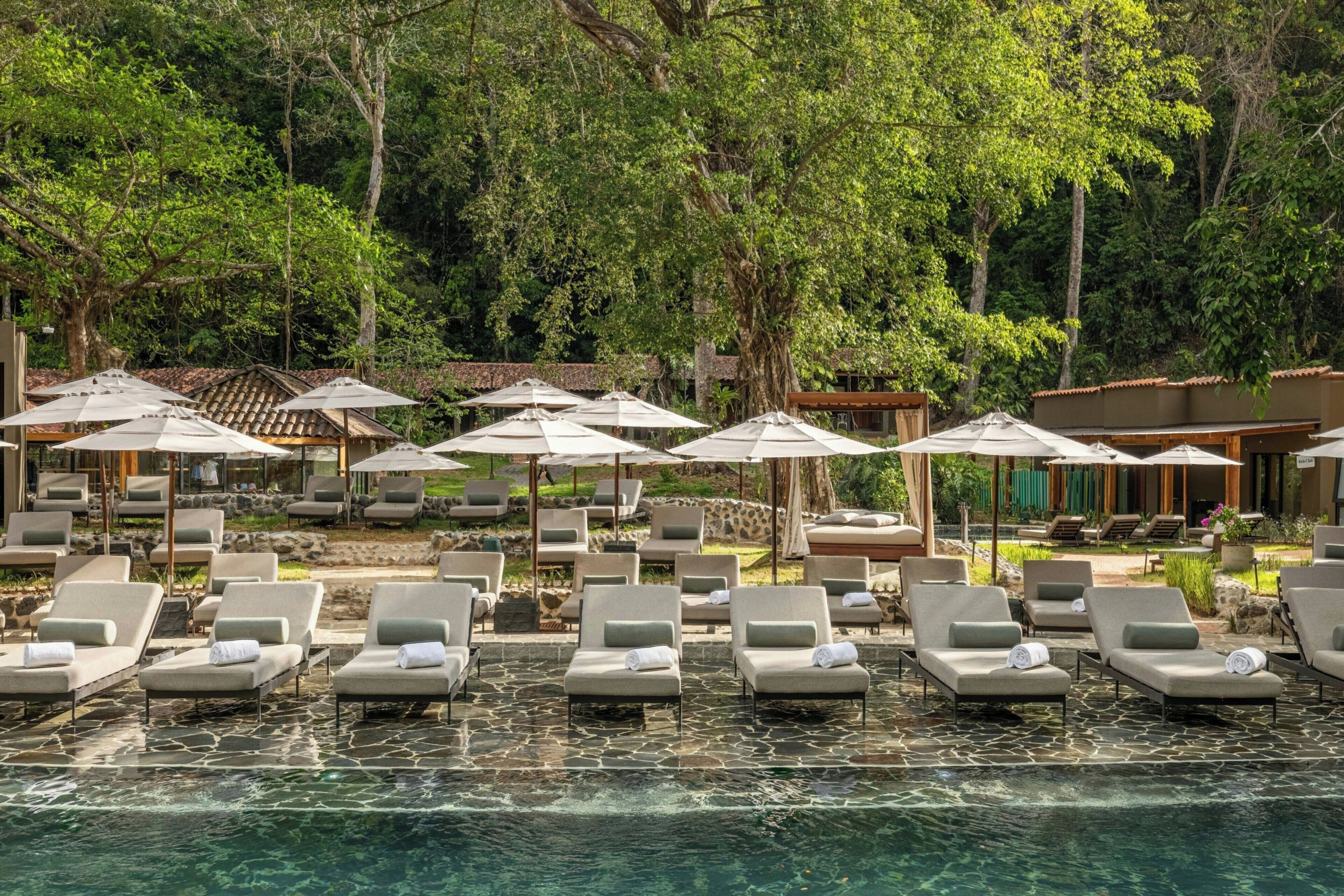 A poolside area with lounge chairs and umbrellas, surrounded by trees and greenery.