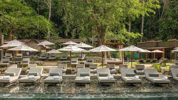 A poolside area with lounge chairs and umbrellas, surrounded by trees and greenery.