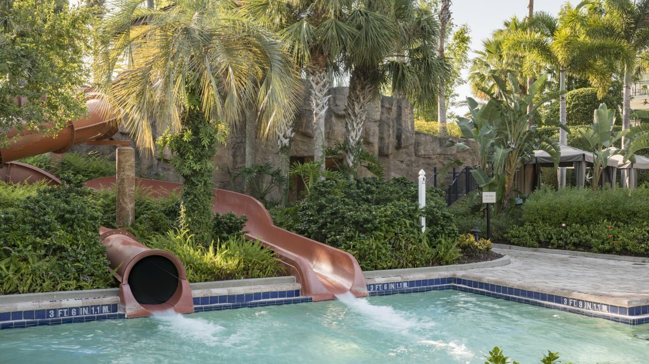 Une piscine avec un toboggan, entourée d’une végétation luxuriante et de palmiers.