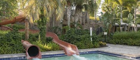 Une piscine avec un toboggan, entourée d’une végétation luxuriante et de palmiers.