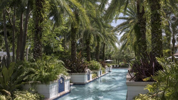 Une piscine entourée de grands palmiers et d’une végétation luxuriante.
