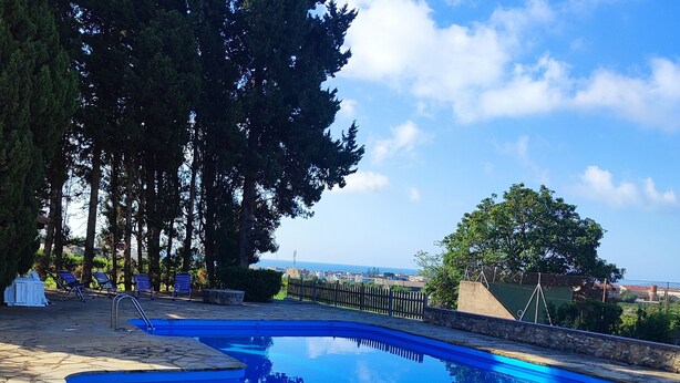 A swimming pool with stone tiles, surrounded by tall trees and a clear sky.