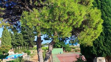 Cancha deportiva