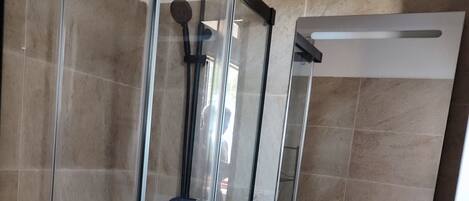 A modern bathroom with a glass shower enclosure, a white sink, and a mirror above the sink.
