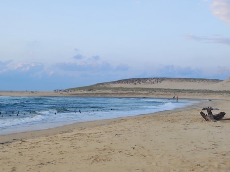 Strand. LAND NATUR