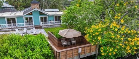 テラス / パティオ