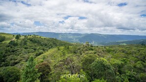 Un paisaje verde y exuberante con colinas onduladas y un sendero que atraviesa los árboles.