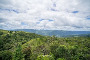 Eine üppige, grüne Landschaft mit sanften Hügeln und einem Pfad, der durch die Bäume führt.