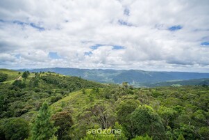 A lush, green landscape with rolling hills and a path leading through the trees.