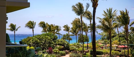 Condo (5 Bedrooms) | View from room