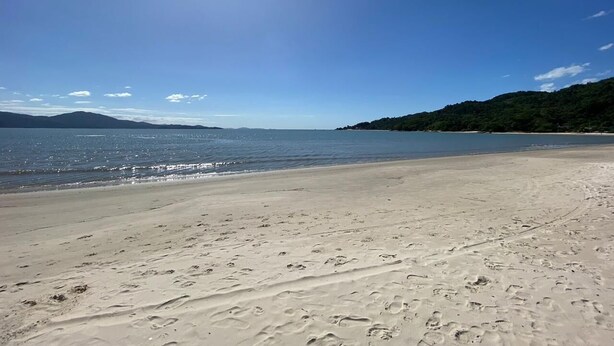 En strand med klar himmel og roligt hav.
