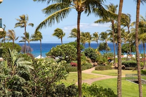 Condo (6 Bedrooms) | View from room