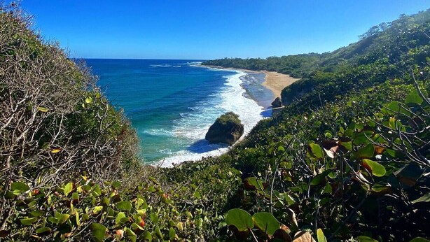 A coastal landscape with a clear view of the ocean, a sandy beach, and dense greenery.