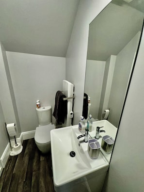 Shower, hair dryer, towels, toilet paper
