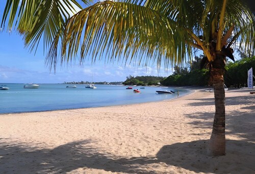 Superb family or friends house with swimming pool, beach and nearby shops.