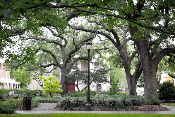 Property grounds