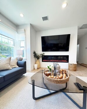 TV, fireplace