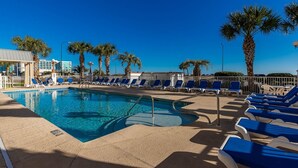 Un espace piscine avec des chaises longues bleues et des palmiers.