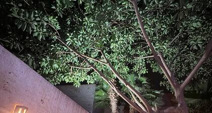 ASARAG GUEST HOUSE & Lodge in Mirleft