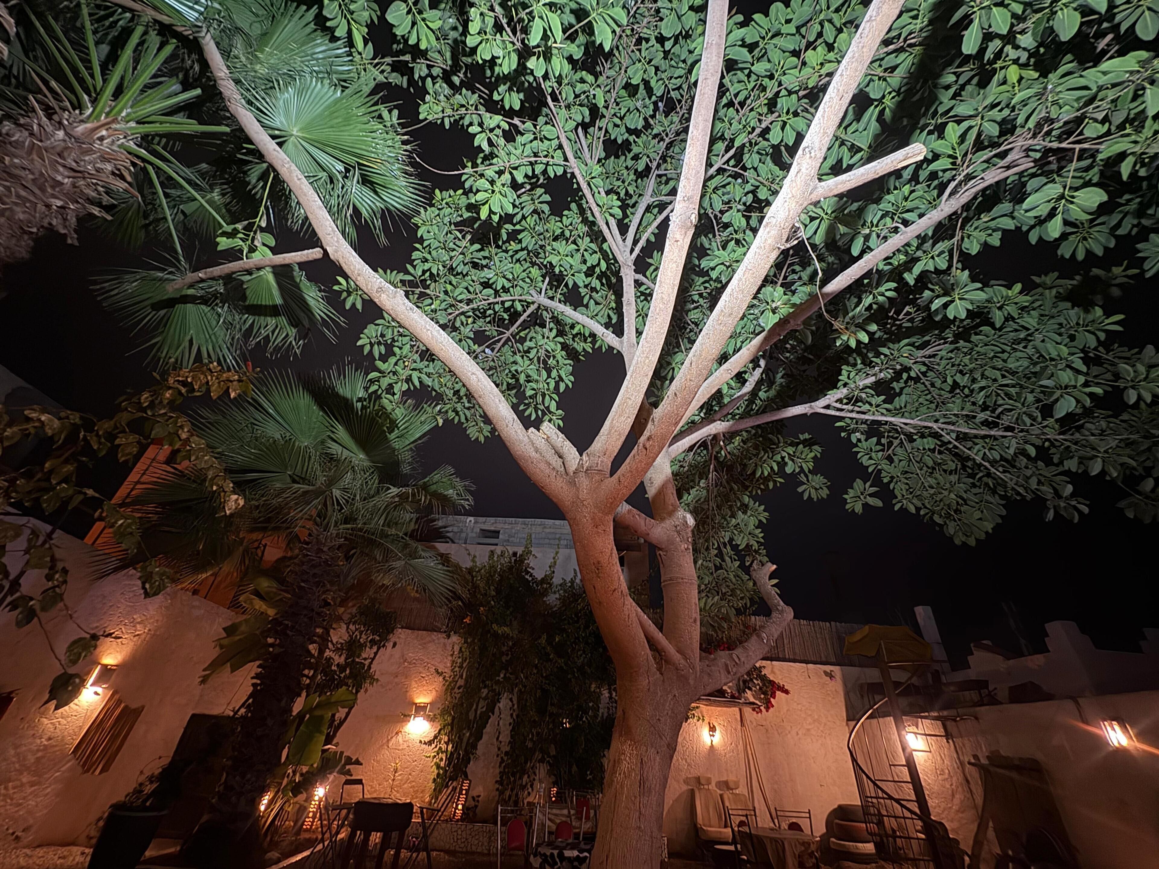 Àrea exterior de l'allotjament